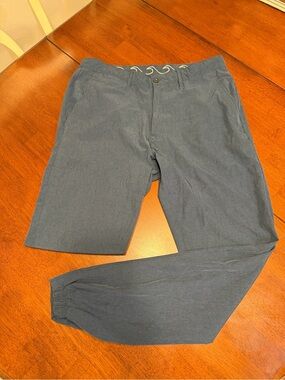 TRUNKS Swim & Surf Co Mens Sz 32 X 30 Blue Performance Joggers Beach Casual